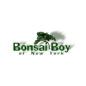 Bonsai Boy Of New York