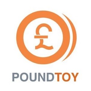 Pound Toy