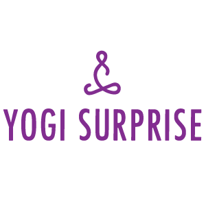 Yogi Surprise